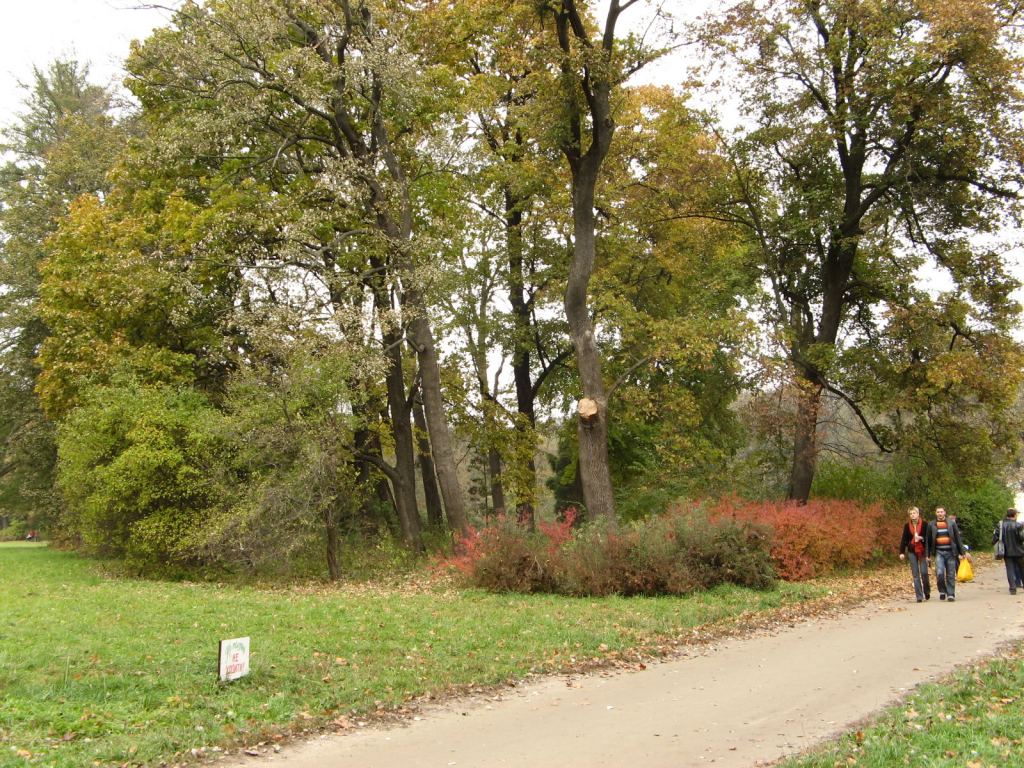 Фото 132 - Осенний парк "Александрия" (Белая Церковь)