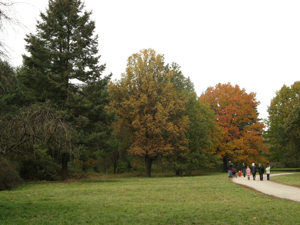 Фото 138 - Осенний парк "Александрия" (Белая Церковь)