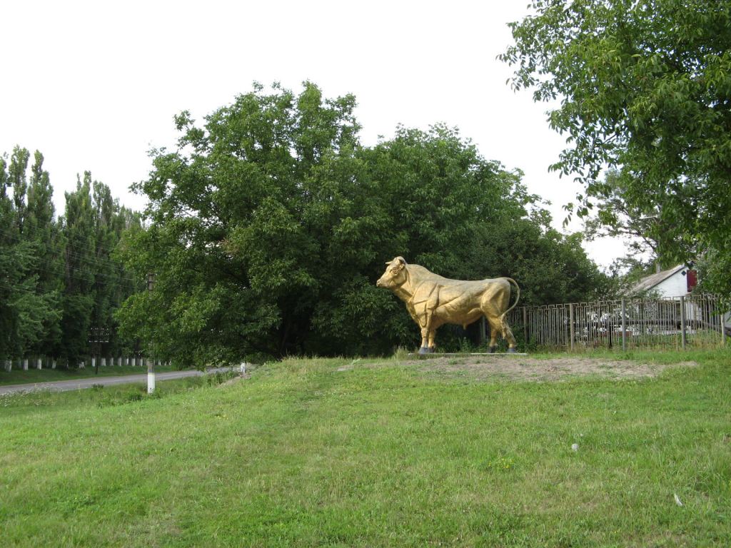 Скульптура возле главного селекционного центра Переяслав-Хмельницкого, там же и гостиница - г.Переяслав-Хмельницкий
