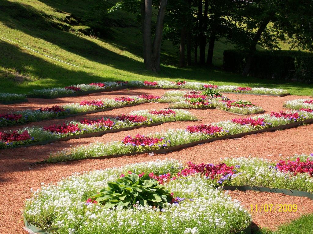 Изысканные клумбы - Дворцово-парковый комплекс Петергоф