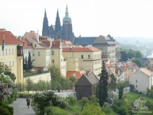 Впереди Пражский Град и Собор Св. Вита - Прага. Левый берег. Градчаны