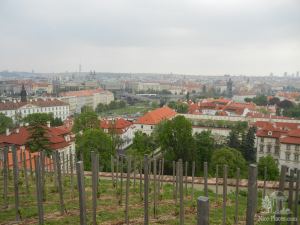 Вид с обзорной площадки на Прагу - Прага. Левый берег. Градчаны