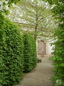 В Вальдштейнском саду - Прага. Левый берег. Градчаны