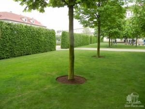 В Вальдштейнском саду - Прага. Левый берег. Градчаны