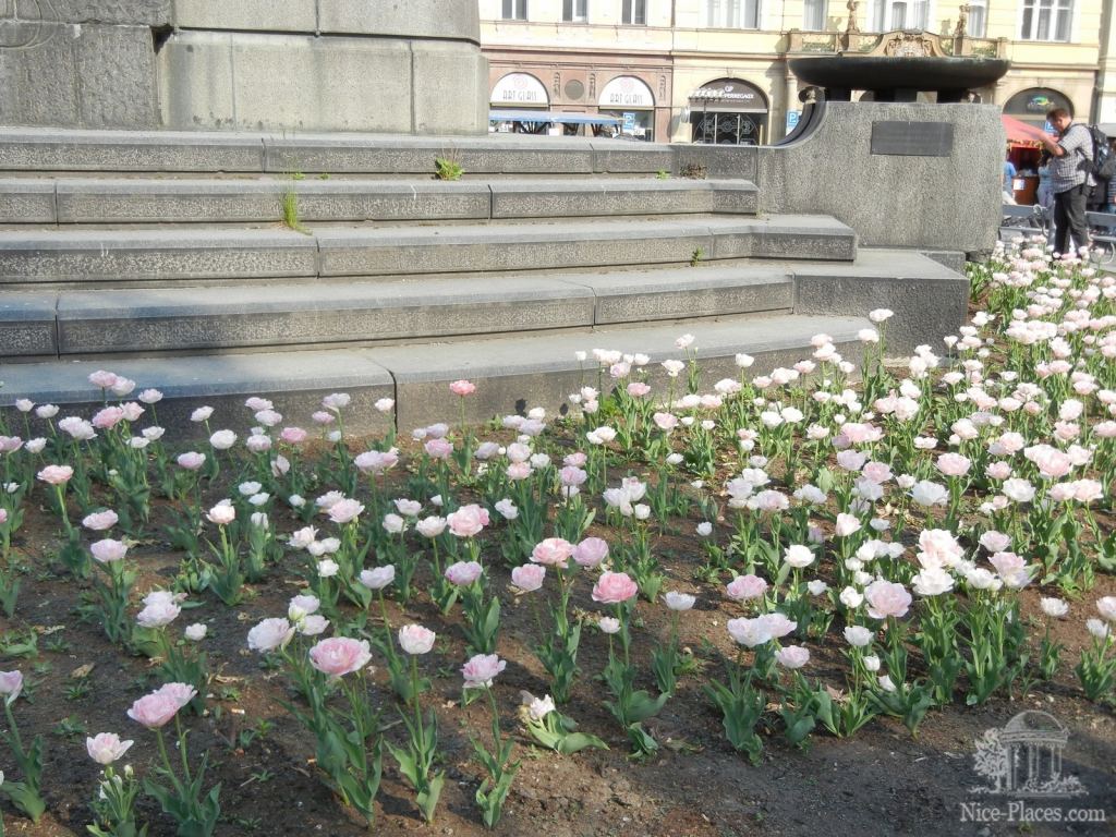 Фото 49 - Прага. Правый берег, старый град, Карлов мост