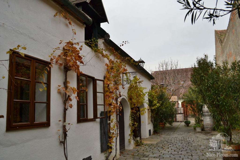 Еще один дворик, на лозе винограда подписан какой сорт вина из него делают - Винными дорогами Австрии. Достопримечательности Руста