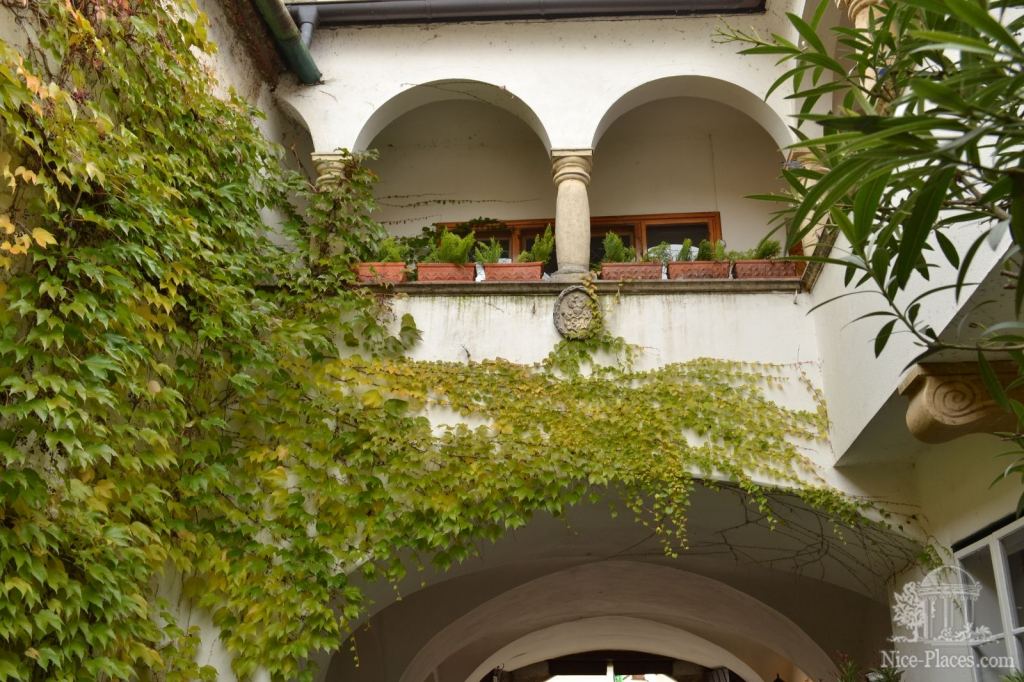 Фото 17 - Винными дорогами Австрии. Достопримечательности Руста