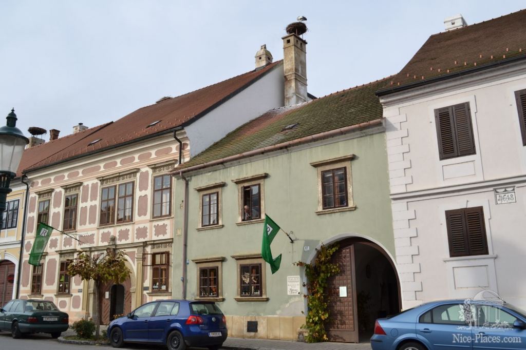 Чуть ли не на каждой крыше гнездо аиста - Винными дорогами Австрии. Достопримечательности Руста