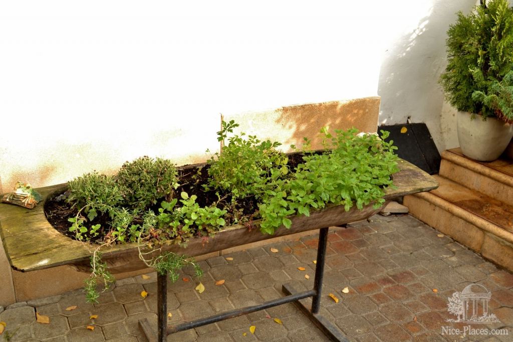 Корыто-клумба - Винными дорогами Австрии. Достопримечательности Руста