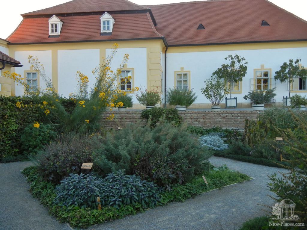 Фото 67 - Замок Шлосс Хоф (Schloss Hof) в Австрии