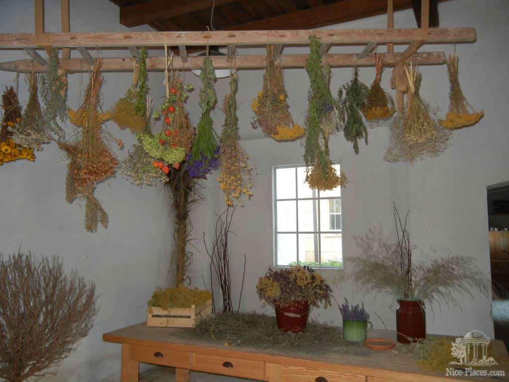 Амбар с сушеными травами и различными настойками - Замок Шлосс Хоф (Schloss Hof) в Австрии