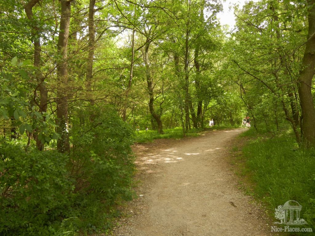 Дикий лес, начинается после регулярных Шенбруннских садов - Дворец Шенбрунн в Вене
