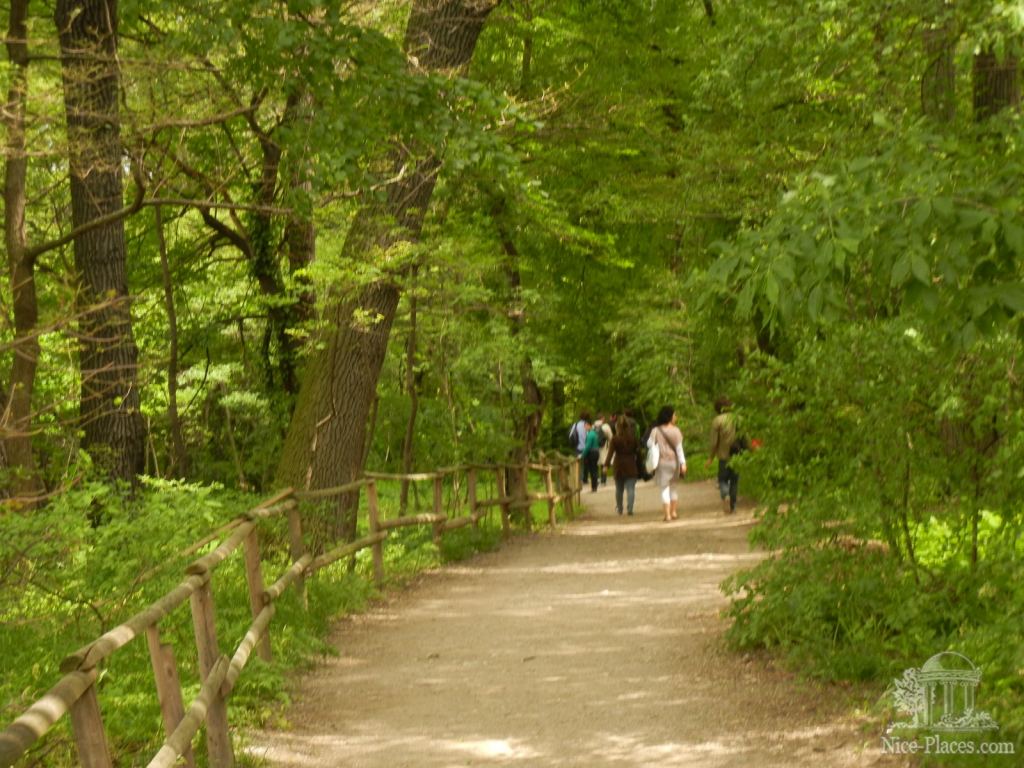 Дикий парк тоже по-своему красив - Дворец Шенбрунн в Вене
