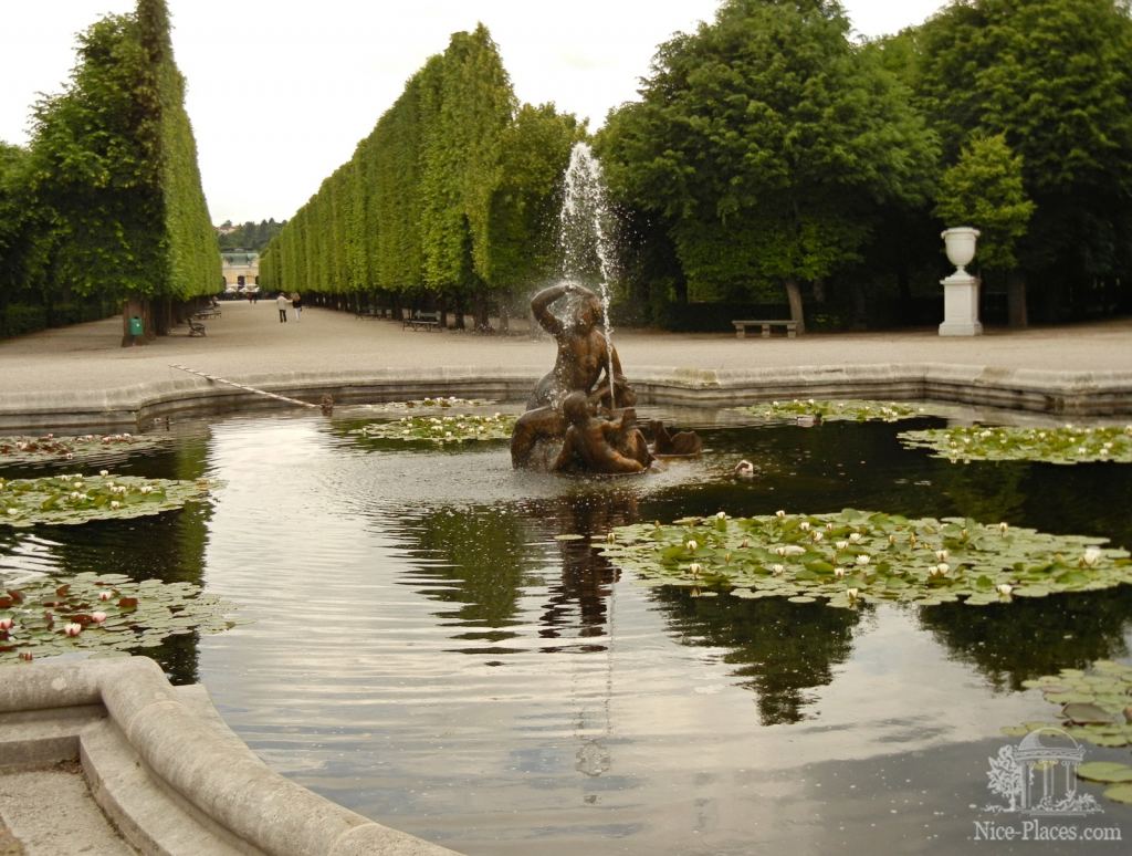 Фонтан с водными лилиями - Дворцовый парк и розарий в Шеннбруне (Вена)