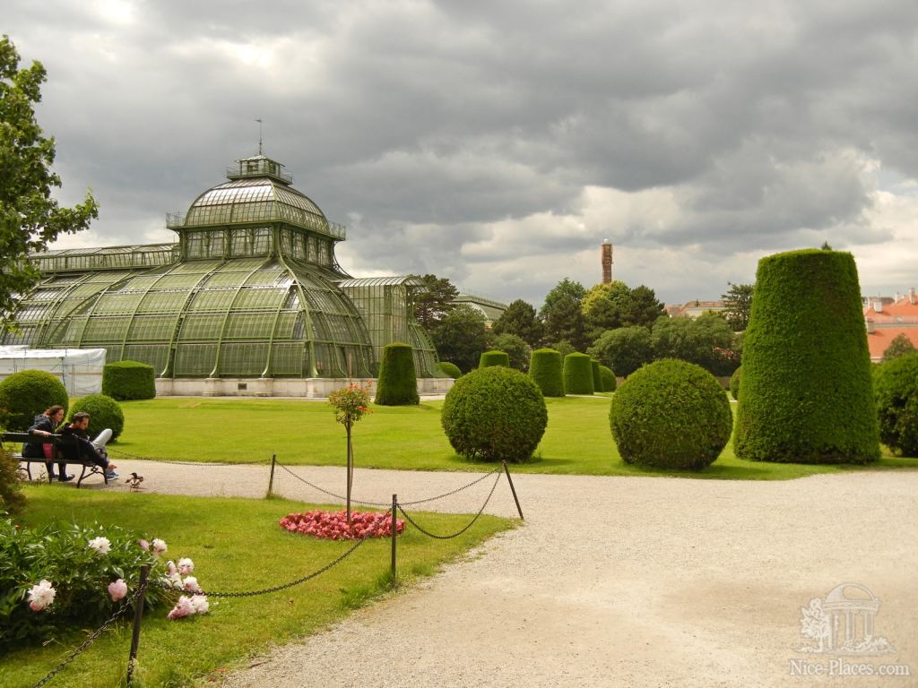 Оранжерея  - Дворцовый парк и розарий в Шеннбруне (Вена)