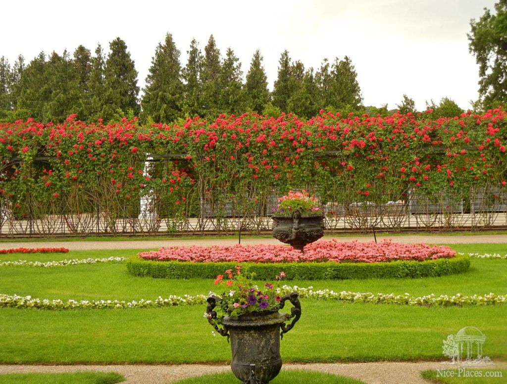 Красота - Дворцовый парк и розарий в Шеннбруне (Вена)