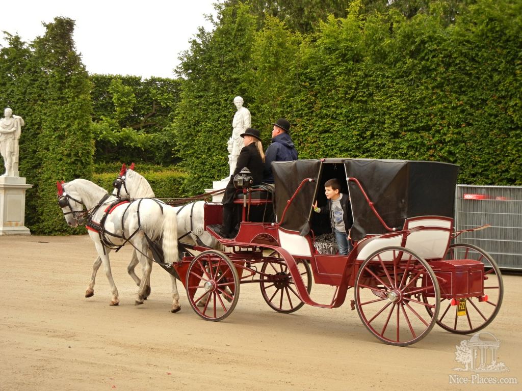 Фиакр в Шенбруннском парке - Дворец Шенбрунн в Вене