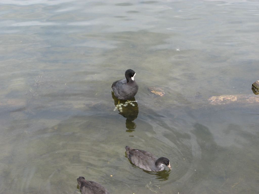 Фото 1 - Славкурорт