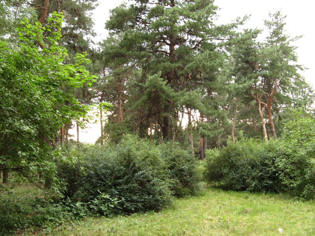 Фото 13 - Славкурорт