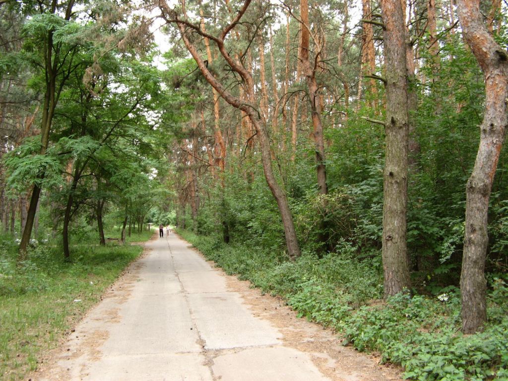 Фото 14 - Славкурорт