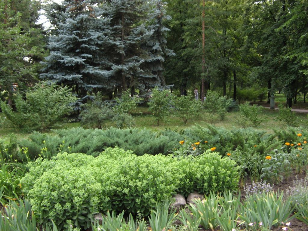 Фото 26 - Славкурорт