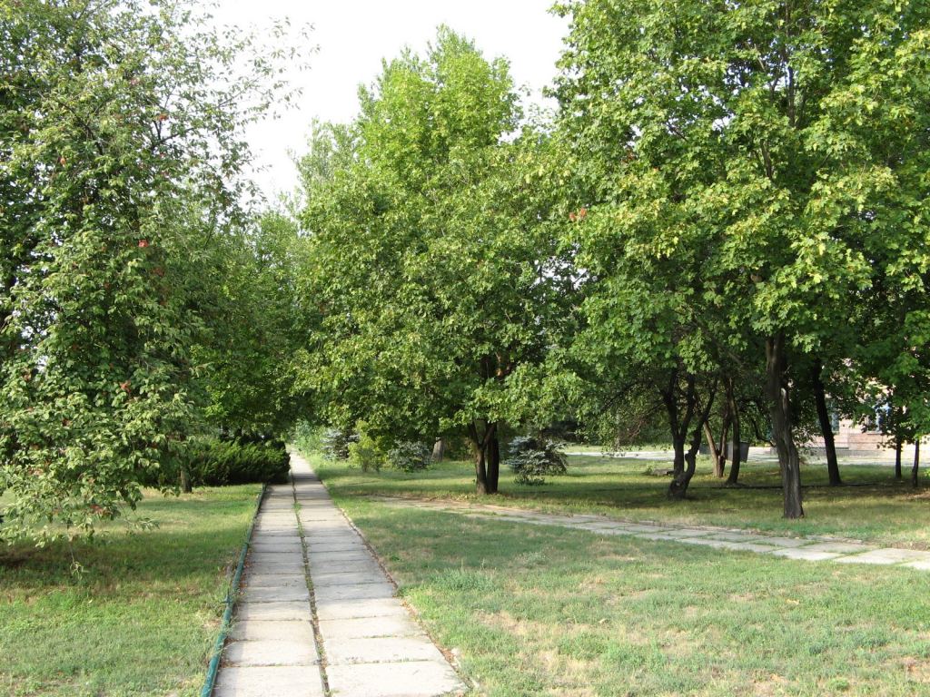 Фото 37 - Славкурорт