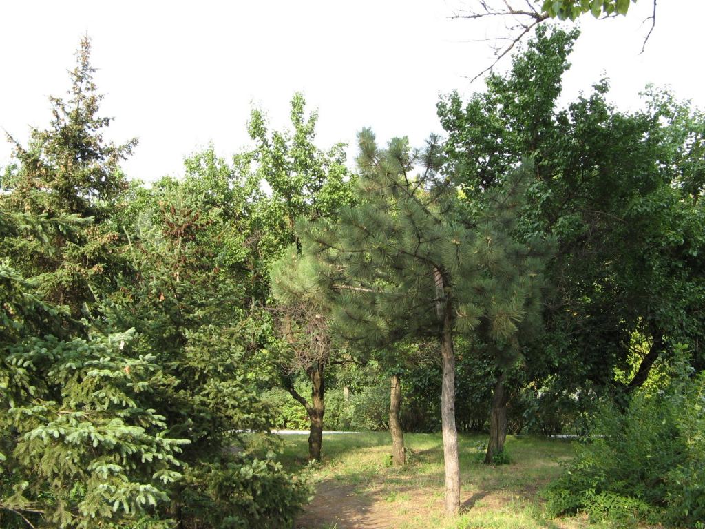 Фото 38 - Славкурорт