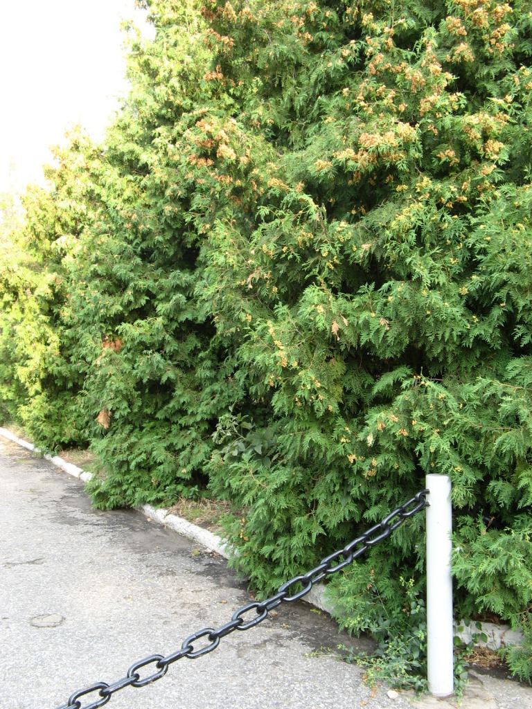 Фото 39 - Славкурорт