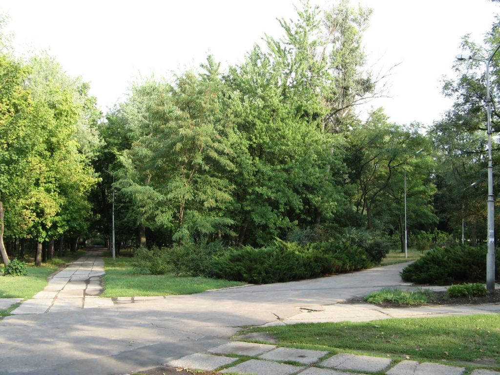 Фото 42 - Славкурорт