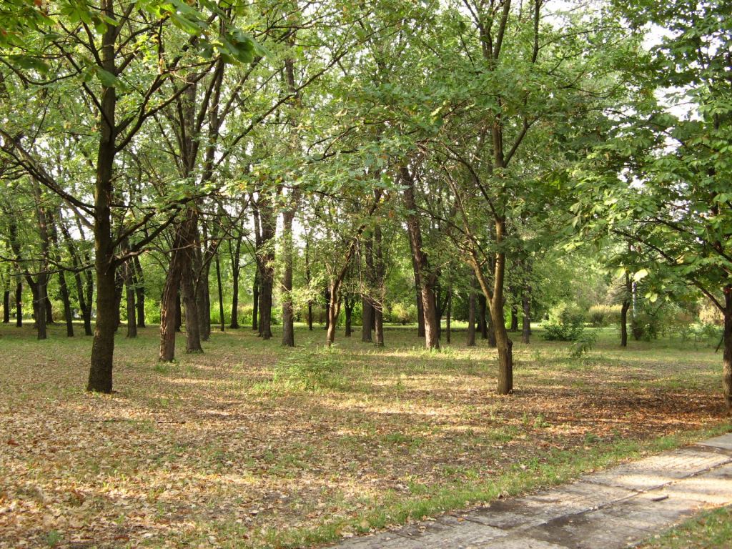 Фото 43 - Славкурорт