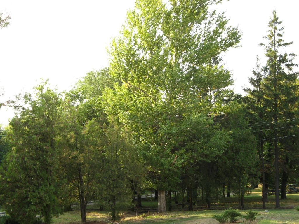 Фото 50 - Славкурорт