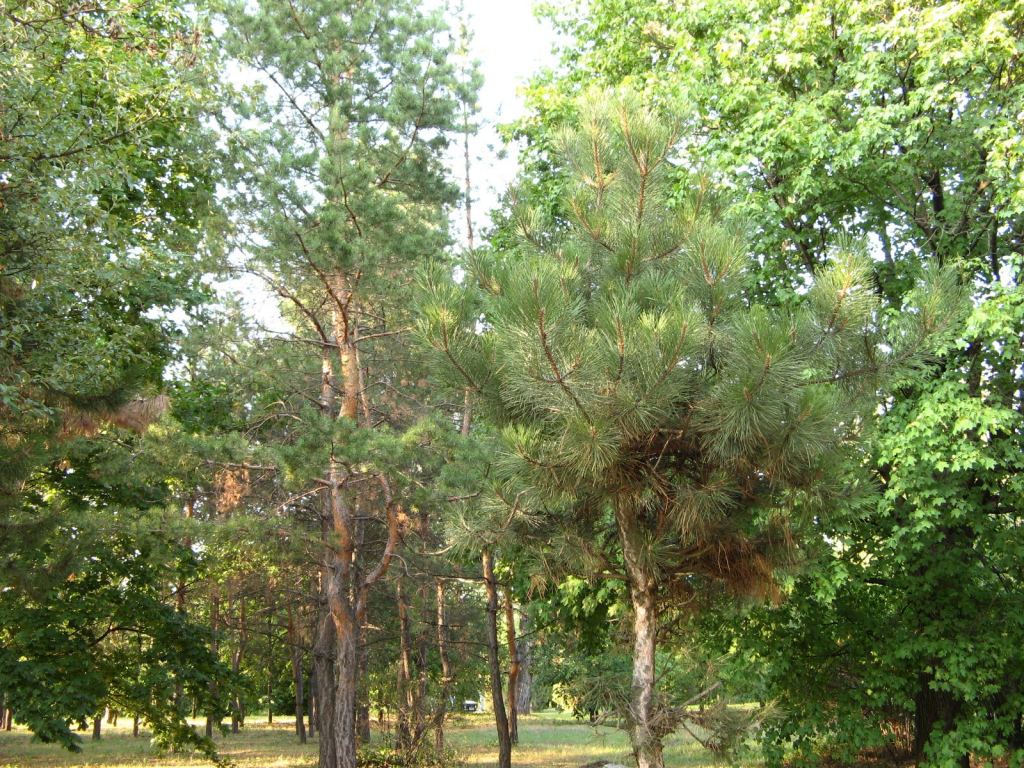 Фото 51 - Славкурорт