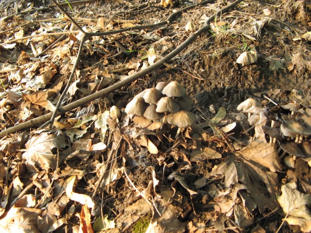 Фото 52 - Славкурорт