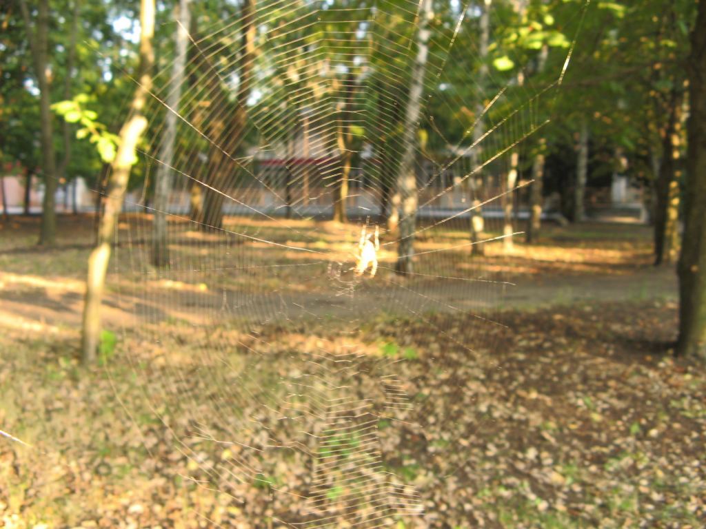 Фото 53 - Славкурорт