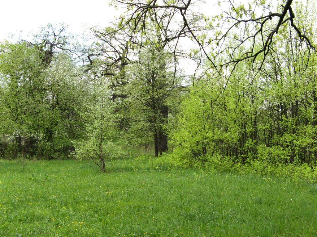 Фото 2 - Святогорск и Святогорская Лавра