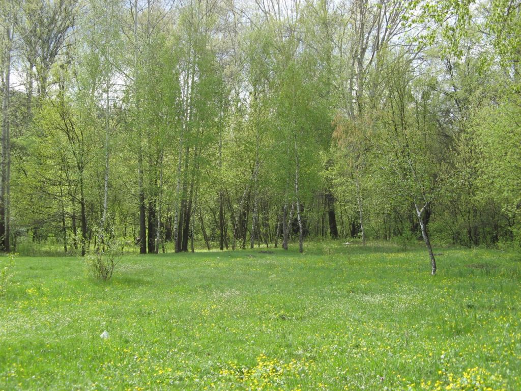 Фото 5 - Святогорск и Святогорская Лавра