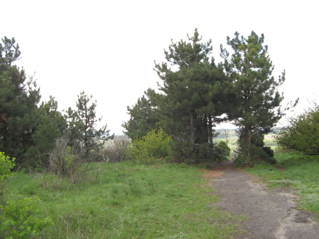 Фото 11 - Святогорск и Святогорская Лавра