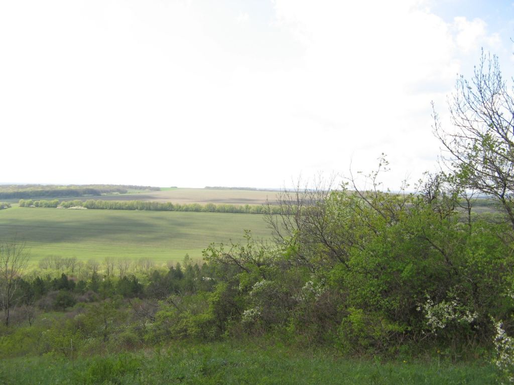 Фото 12 - Святогорск и Святогорская Лавра