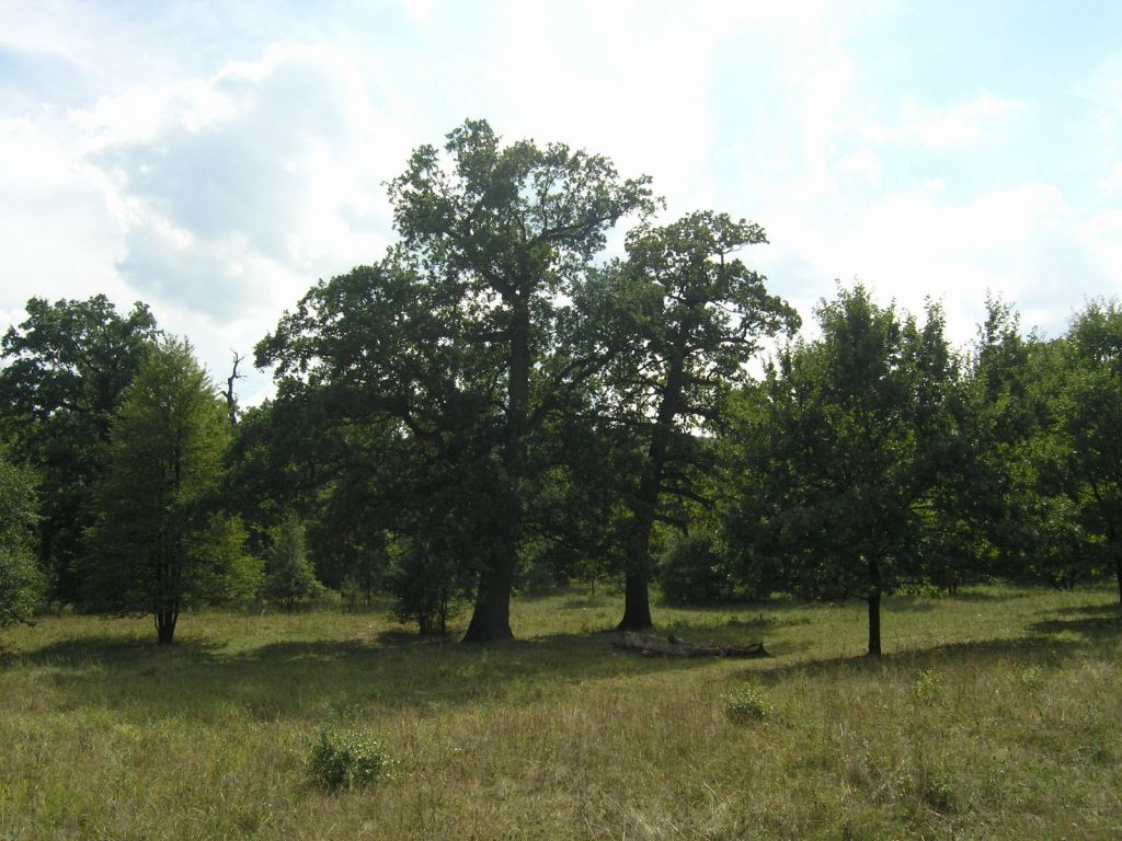 Фото 28 - Святогорск и Святогорская Лавра