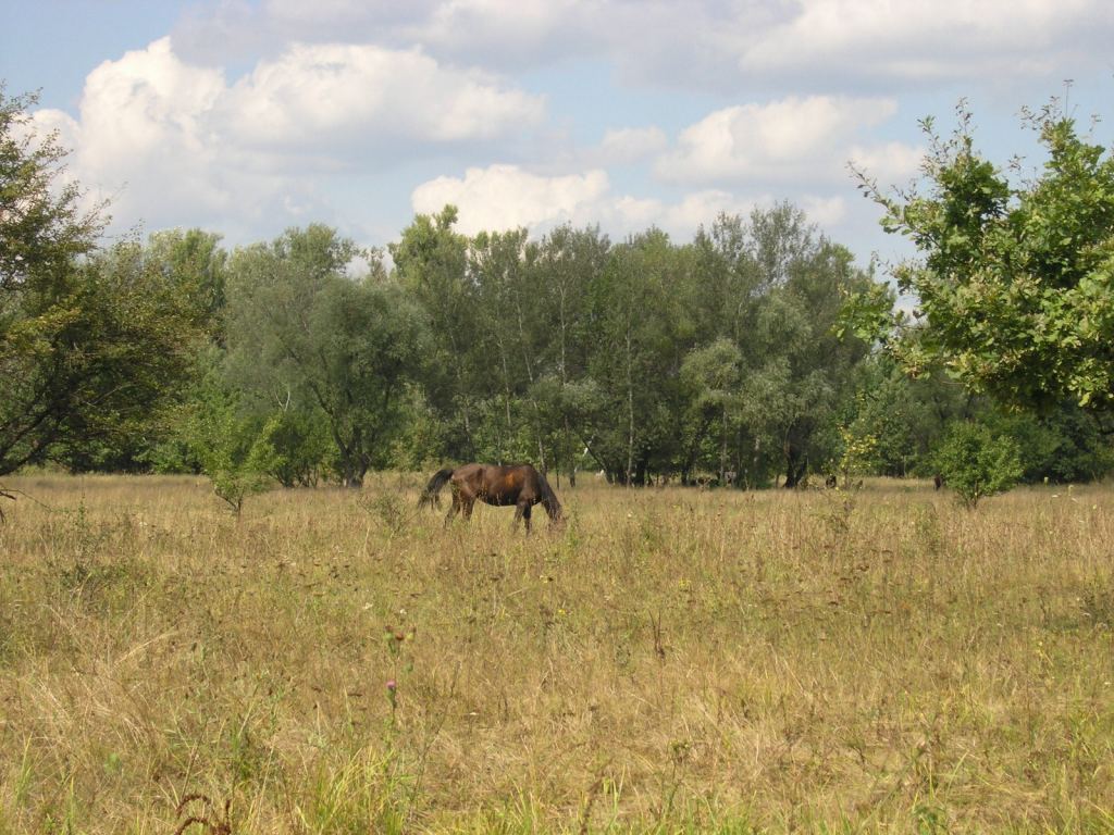 Фото 29 - Святогорск и Святогорская Лавра