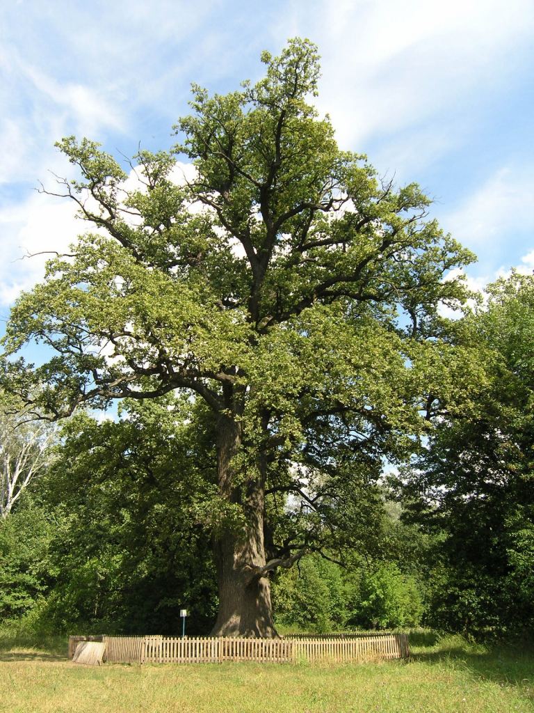 Фото 31 - Святогорск и Святогорская Лавра