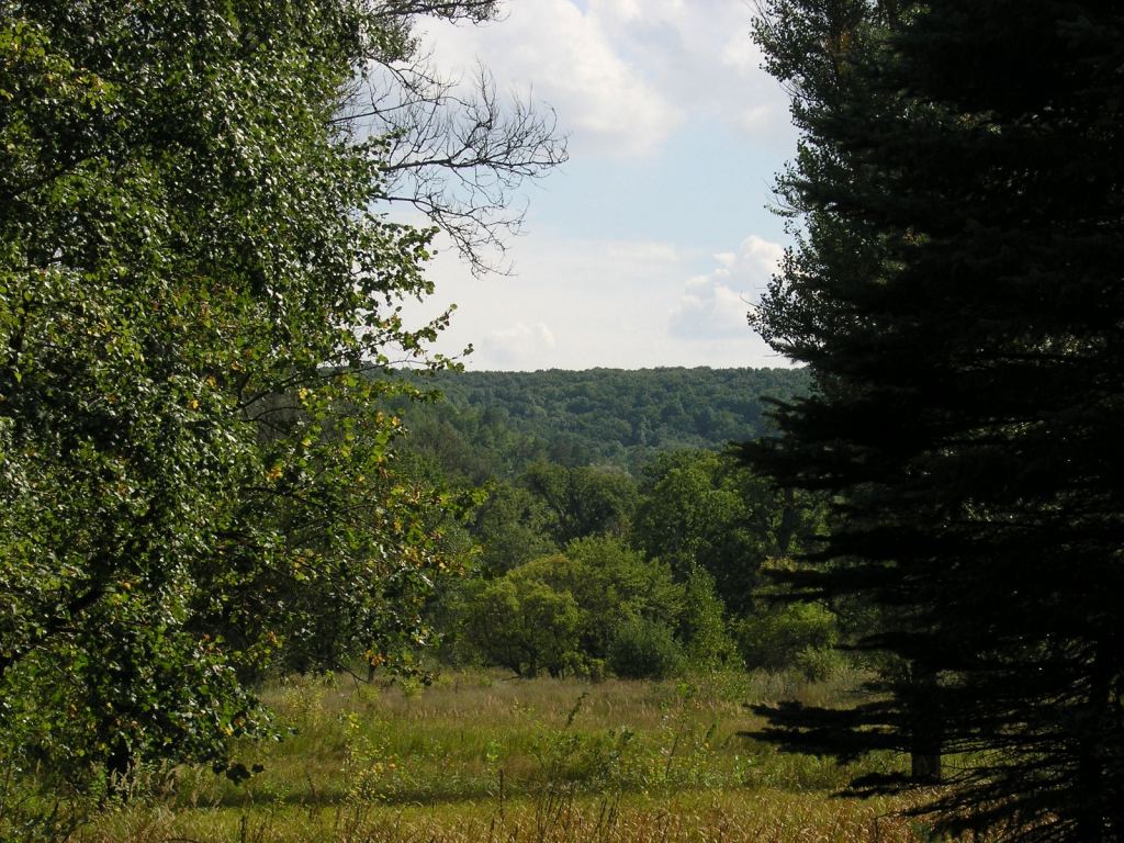 Фото 32 - Святогорск и Святогорская Лавра