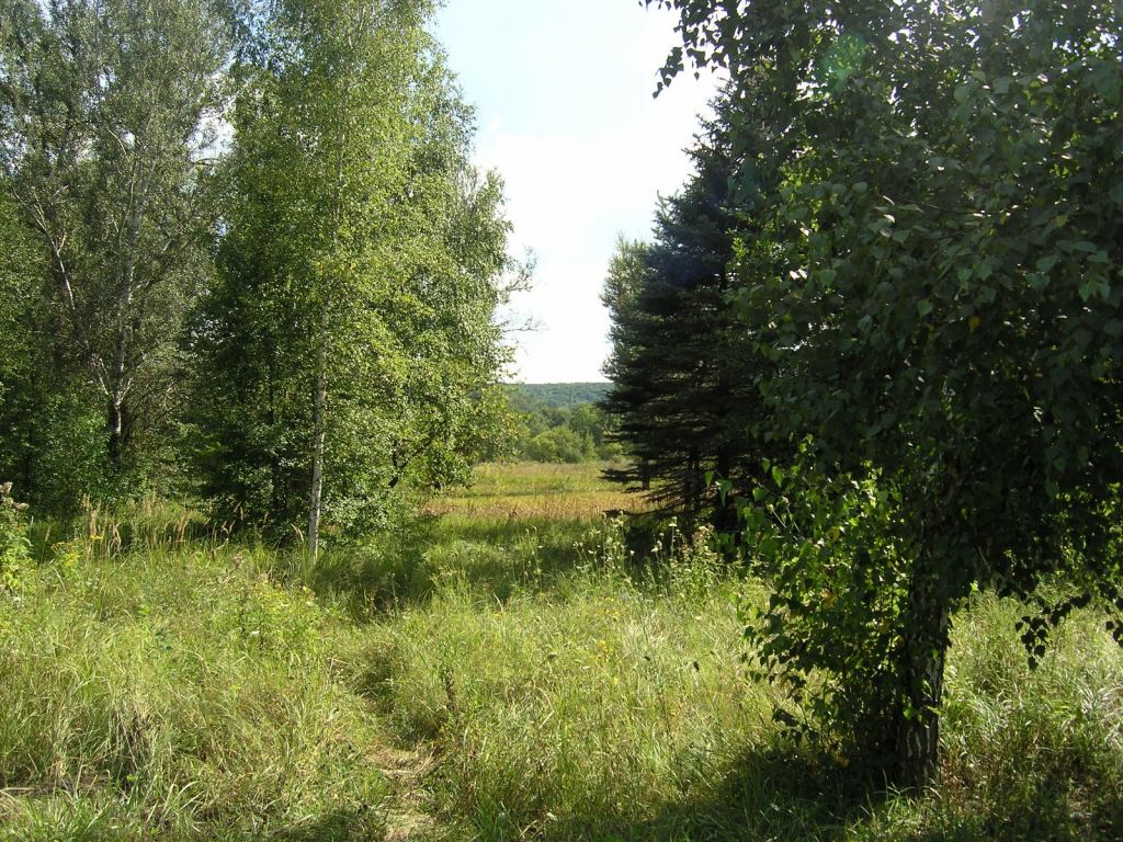 Фото 33 - Святогорск и Святогорская Лавра