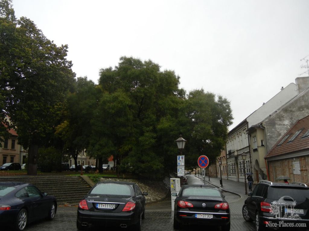 Фото 17 - Трнава - самый старинный город Словакии