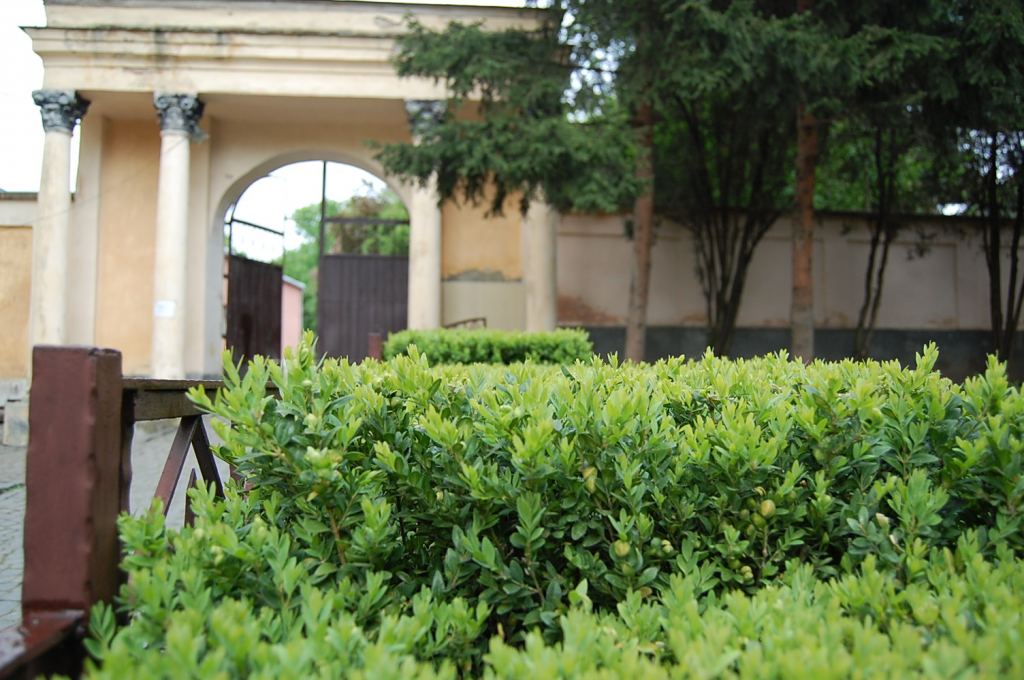Фото 1 - Ужгород. Ужгородский замок и музеи (автор Владимир Беспалов)