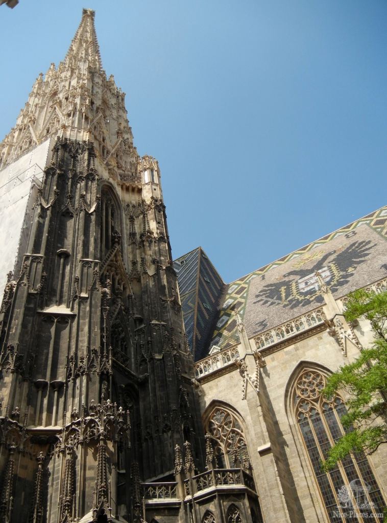 Собор Св. Стефана. В кадр не помещается - И снова неповторимая Вена