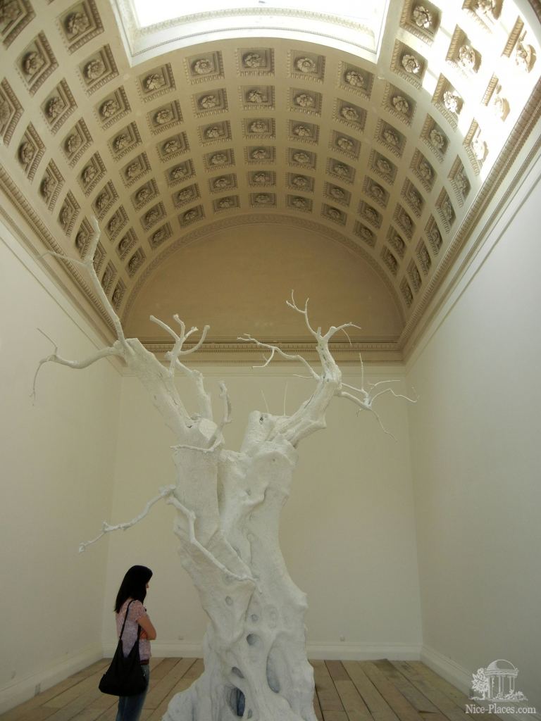 Инсталляция дерева в храме Тесея. Лето 2012 - И снова неповторимая Вена