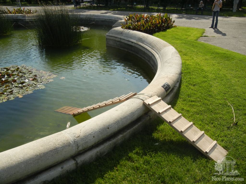 Лестница для уточек  - И снова неповторимая Вена