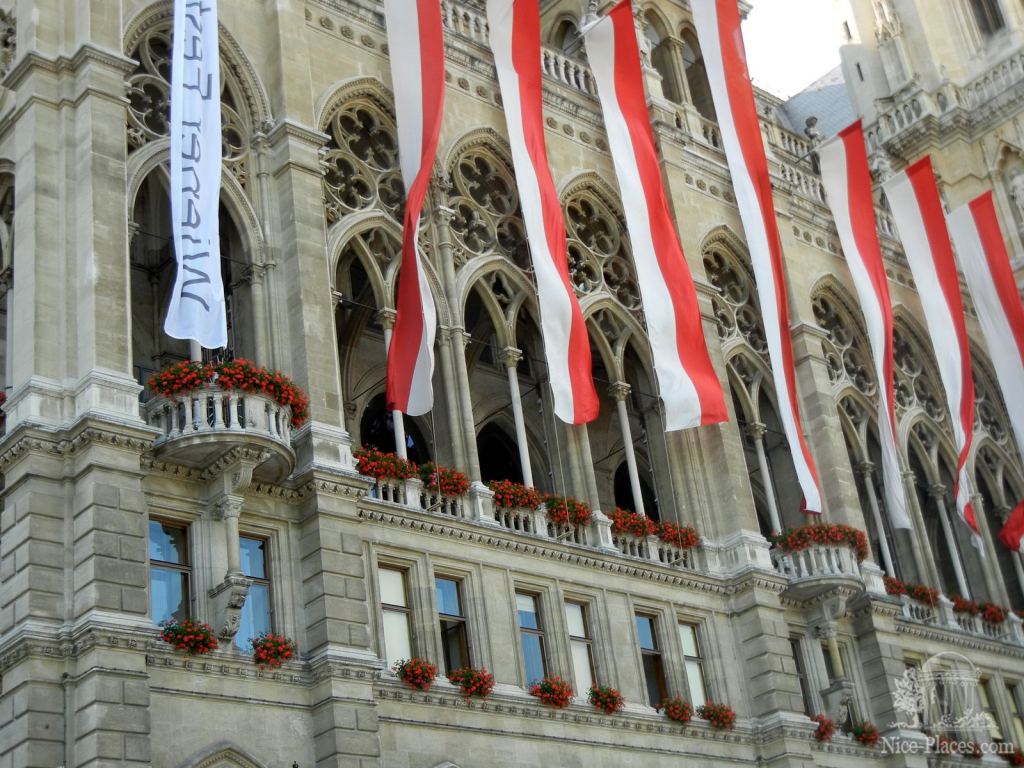 Окна ратуши - И снова неповторимая Вена