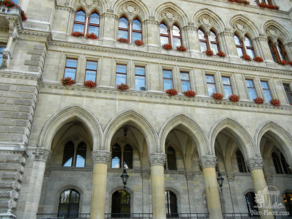 Цветочки дополняют красоты - И снова неповторимая Вена